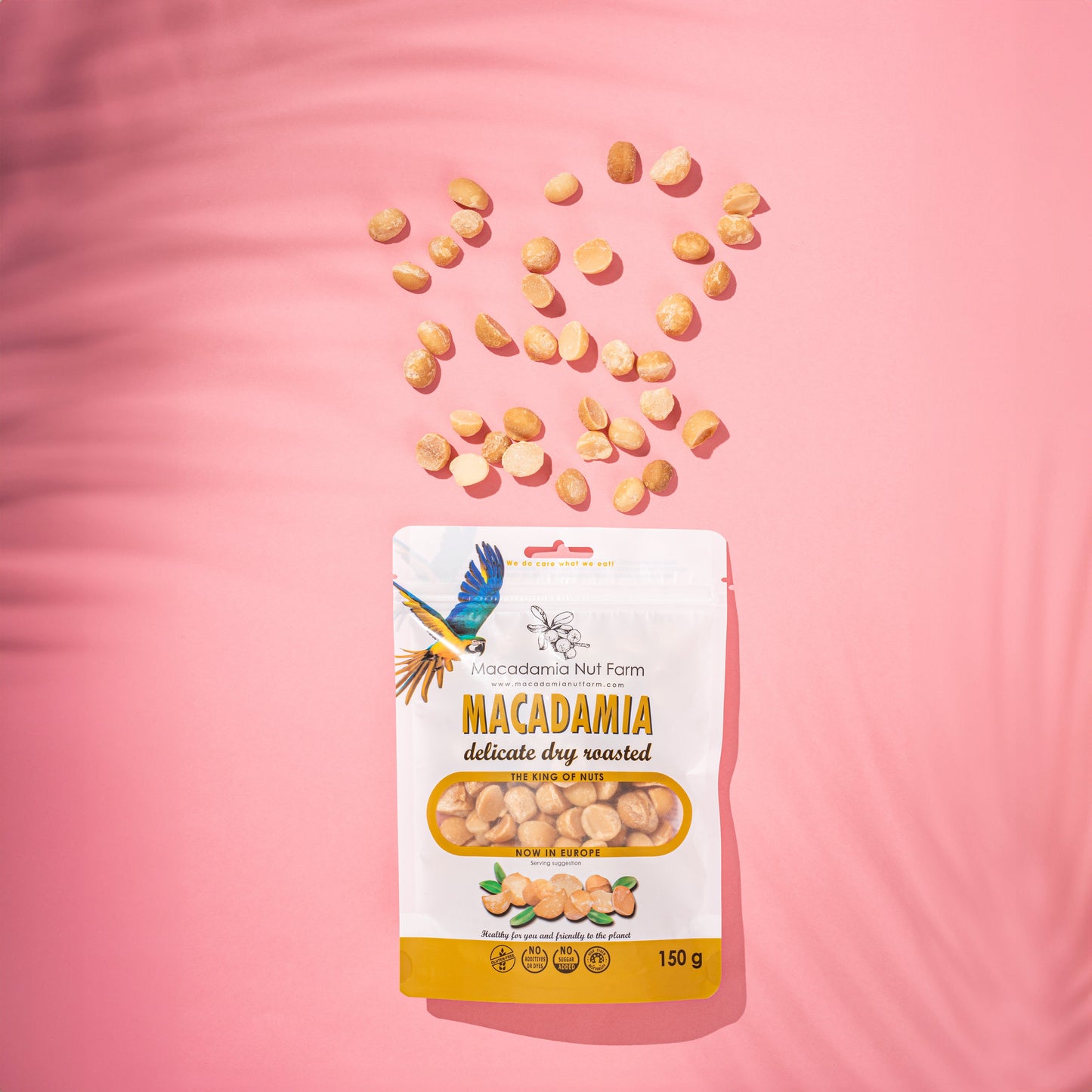 Geröstete Macadamianüsse